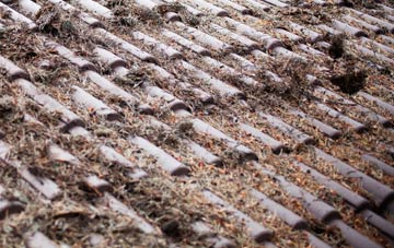 Town Lane roof cleaning companies